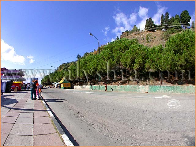 отдых в Алуште